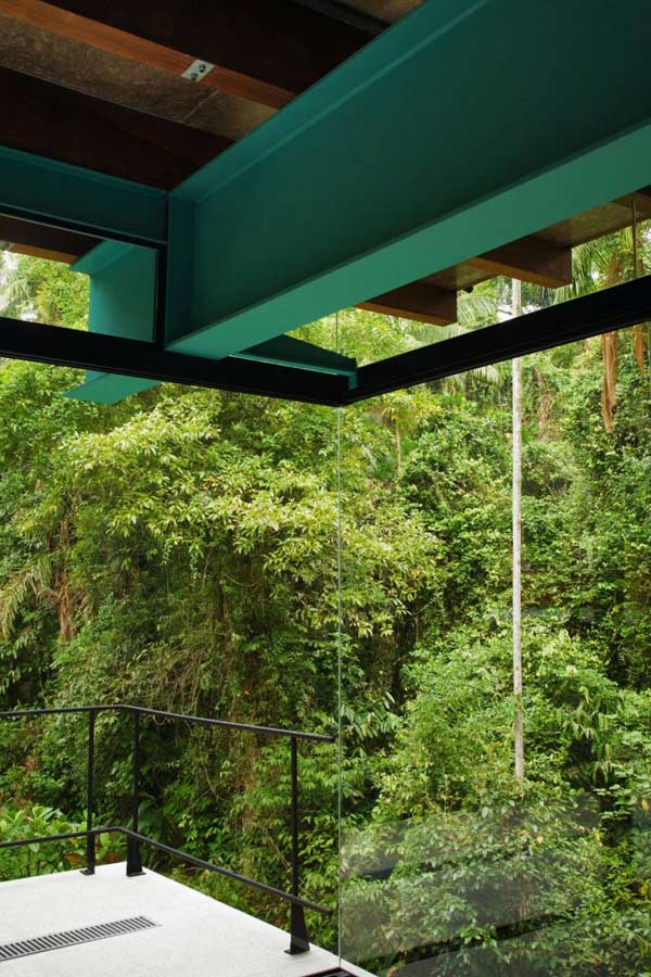 exotic-jungle-house-multi-level-living-glass-walls-6.jpg