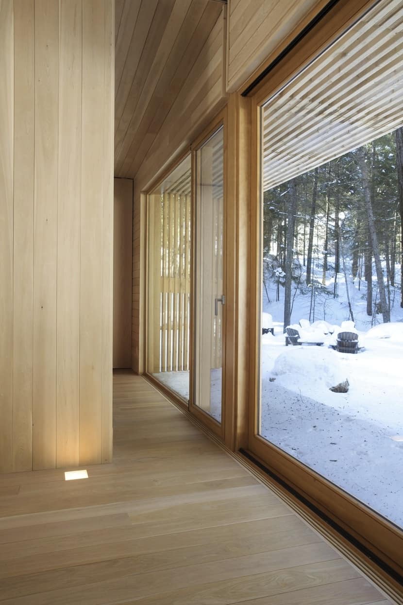 forest getaway cabin dominated by warm wood boards 8 window wall