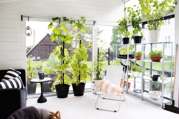 garden home designs greenhouse architecture 4 Garden Home Designs – Greenhouse Architecture