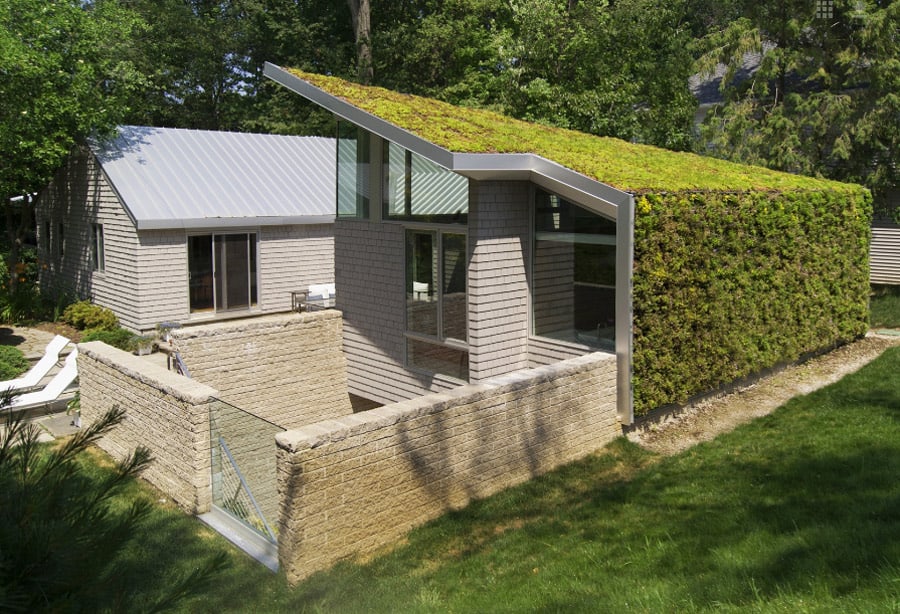 garden house with lush leafy facade 1