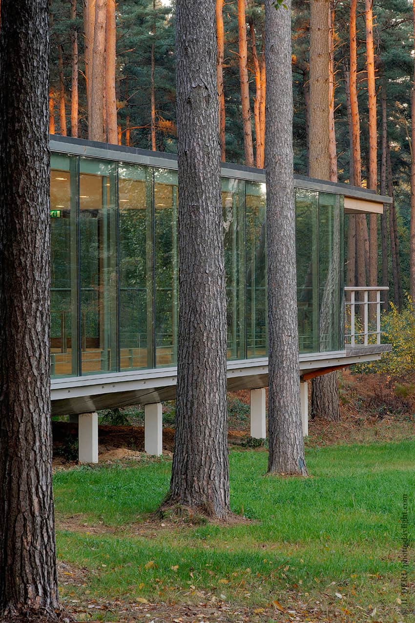 glass pavilion mirroring secular pine tree forest 2