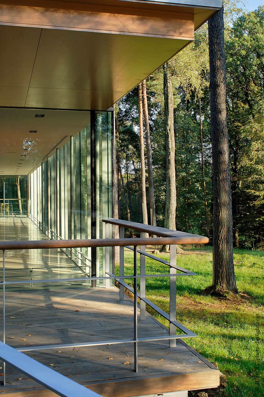 glass pavilion mirroring secular pine tree forest 5