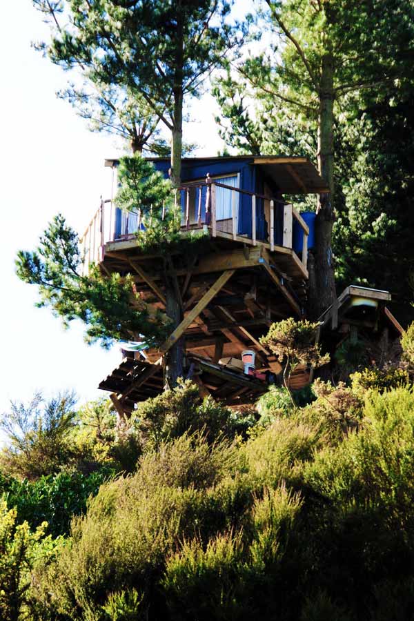 green tree house built on budget 1 Green Tree House Built On A Budget