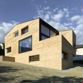 House With Wood-Look Concrete Covering