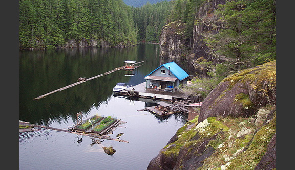 lutz floating cabin 2 Sustainable Floating Cabin in Beautiful British Columbia