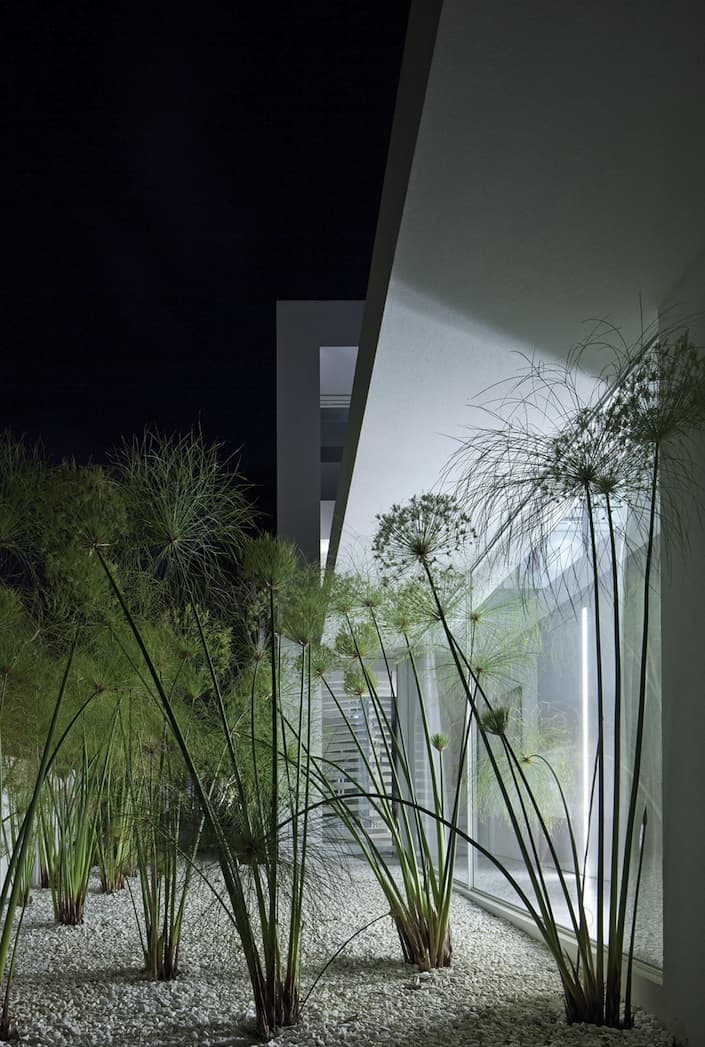 minimal-house-with-hangar-style-rear-facade-9-side-plants.jpg