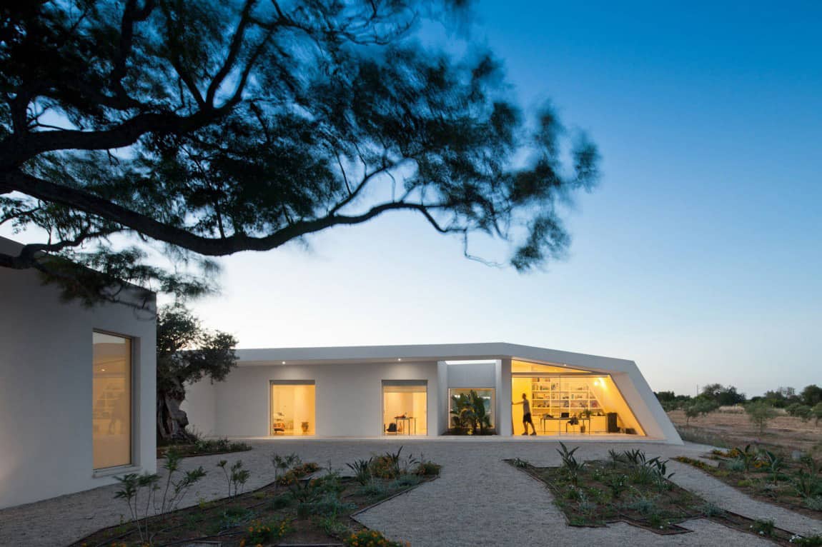 Minimalist White House with Glass Walkway in Olive Grove