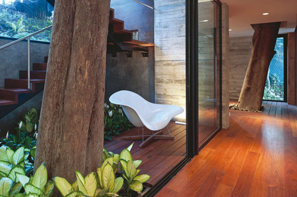 modern-tree-house-3.jpg