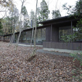 Natural Forest House Brings the Outdoors In