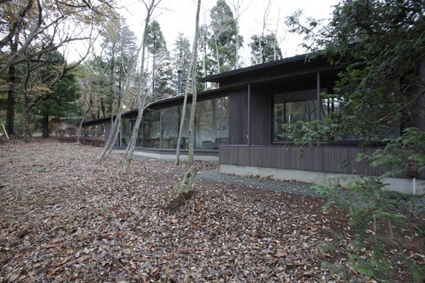 Natural Forest House Brings the Outdoors In