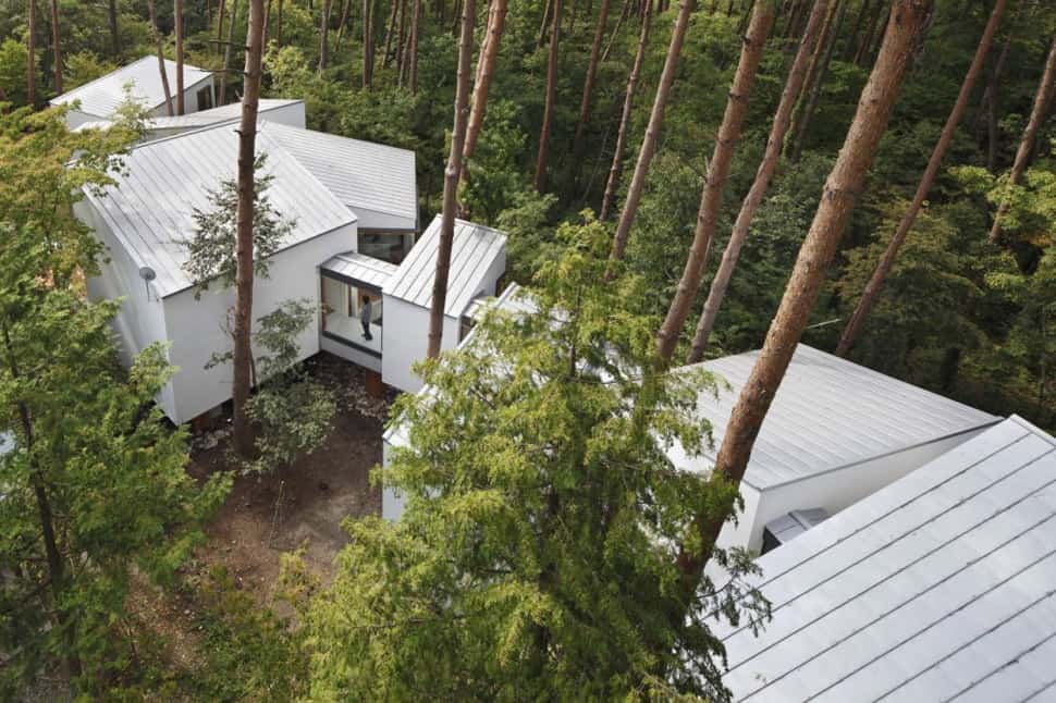 Twisted house plan wraps around trees