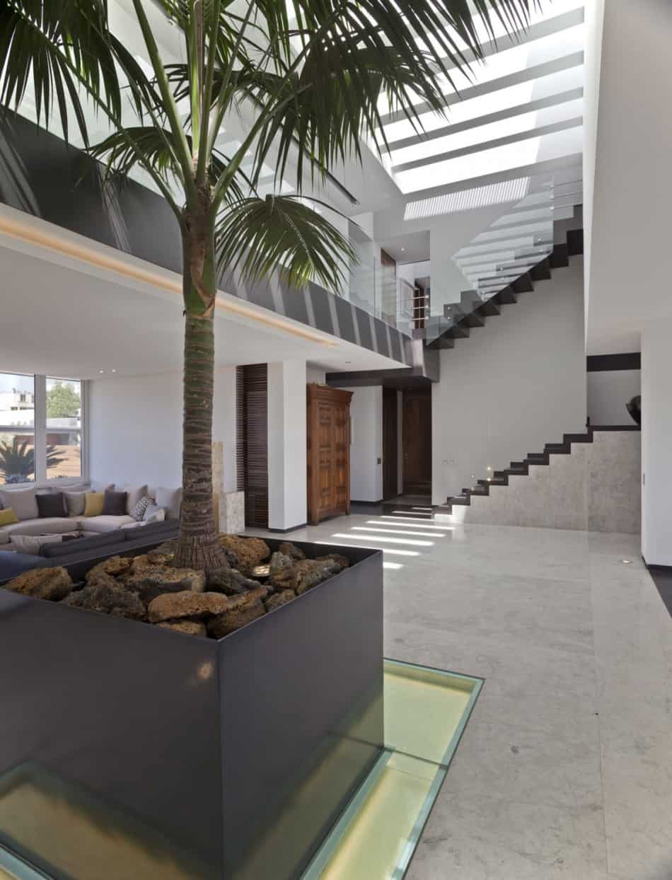 study contradictions contemporarily serene mexico city home 4 tree close stairs