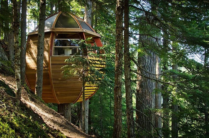 suspended wooden pod cabin built around tree trunk 10 slope