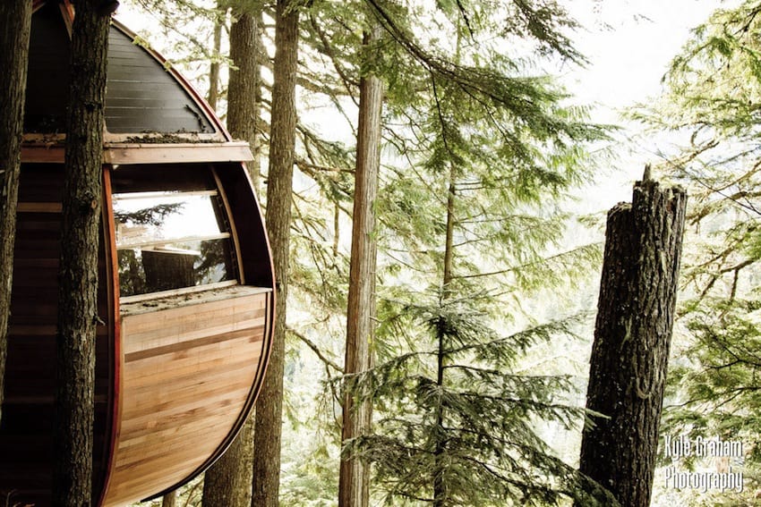 suspended-wooden-pod-cabin-built-around-tree-trunk-11-close-elevation.jpg