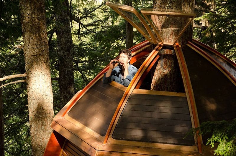 suspended-wooden-pod-cabin-built-around-tree-trunk-13-roof-hatch.jpg