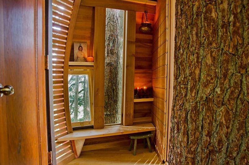 suspended-wooden-pod-cabin-built-around-tree-trunk-14-inside-door.jpg