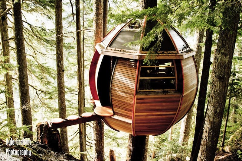 suspended-wooden-pod-cabin-built-around-tree-trunk-3-right-side.jpg