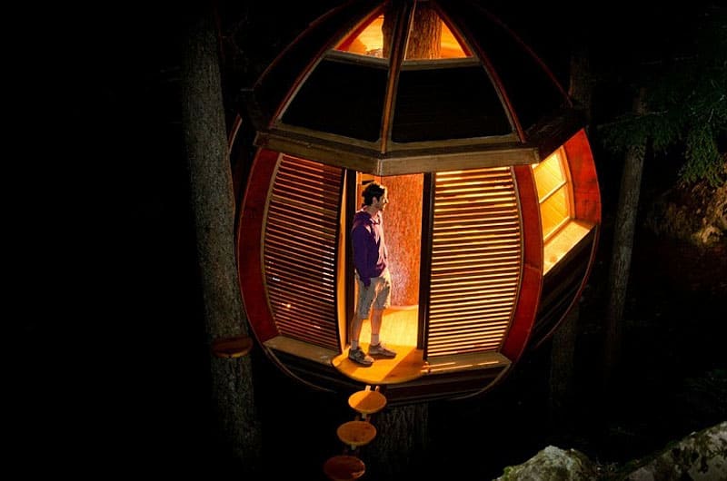 suspended-wooden-pod-cabin-built-around-tree-trunk-8-night-lit.jpg