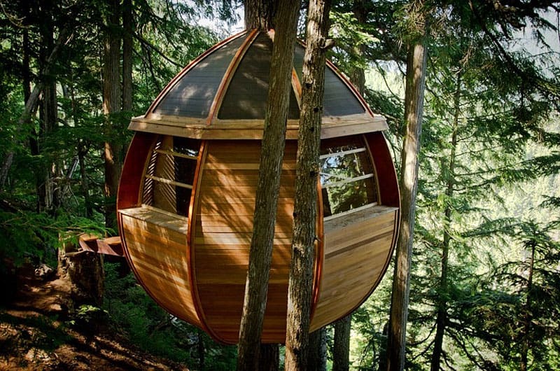 suspended wooden pod cabin built around tree trunk 9 right side far