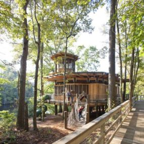 Timber Home Design – Lakefront Treehouse