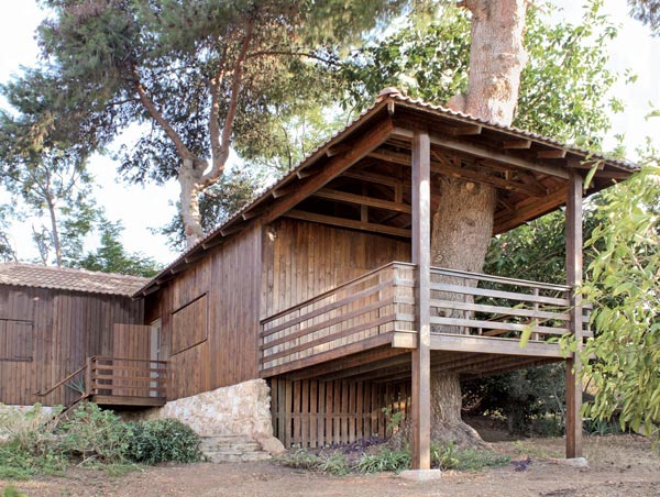 two tree house among the trees 1