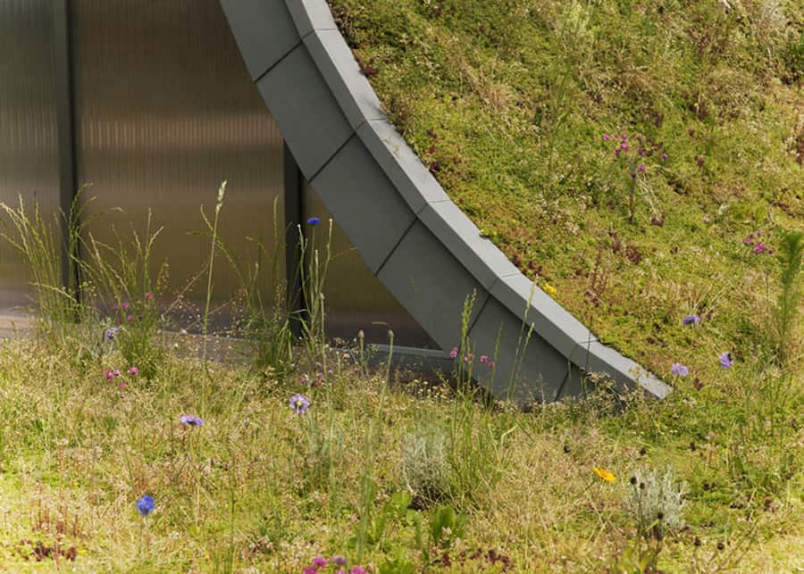 underground wave house with wildflower and herb exterior 11
