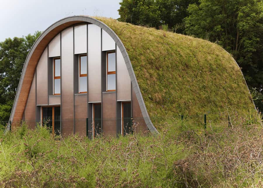 underground wave house with wildflower and herb exterior 3