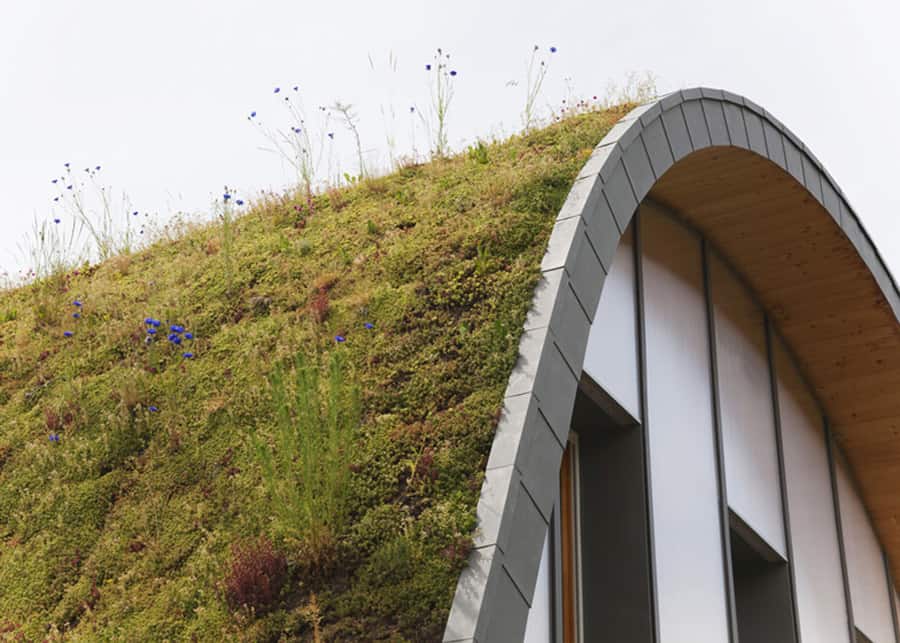 underground wave house with wildflower and herb exterior 8