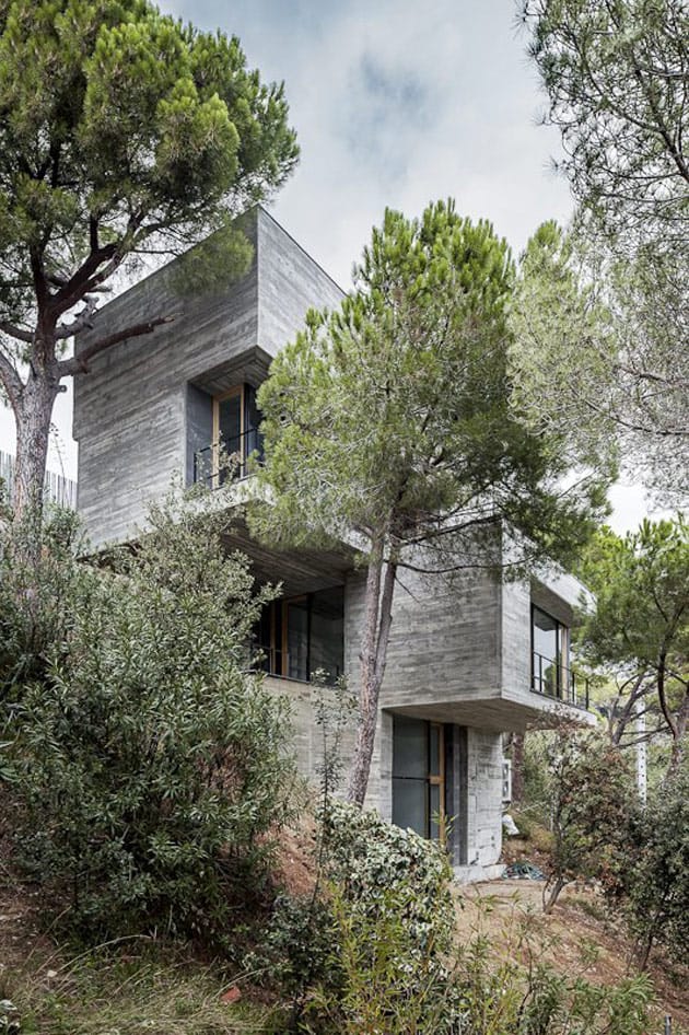 Steep Slope House design goes vertical, just like trees