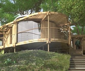 Sustainable Tree House Actually Hugs Trees