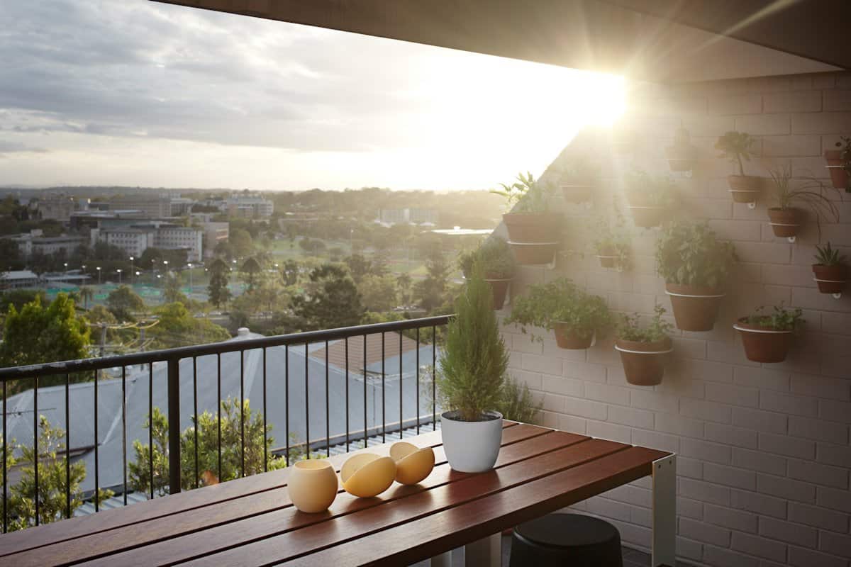 bold choices dramatize penthouse apartment 5 deck plants