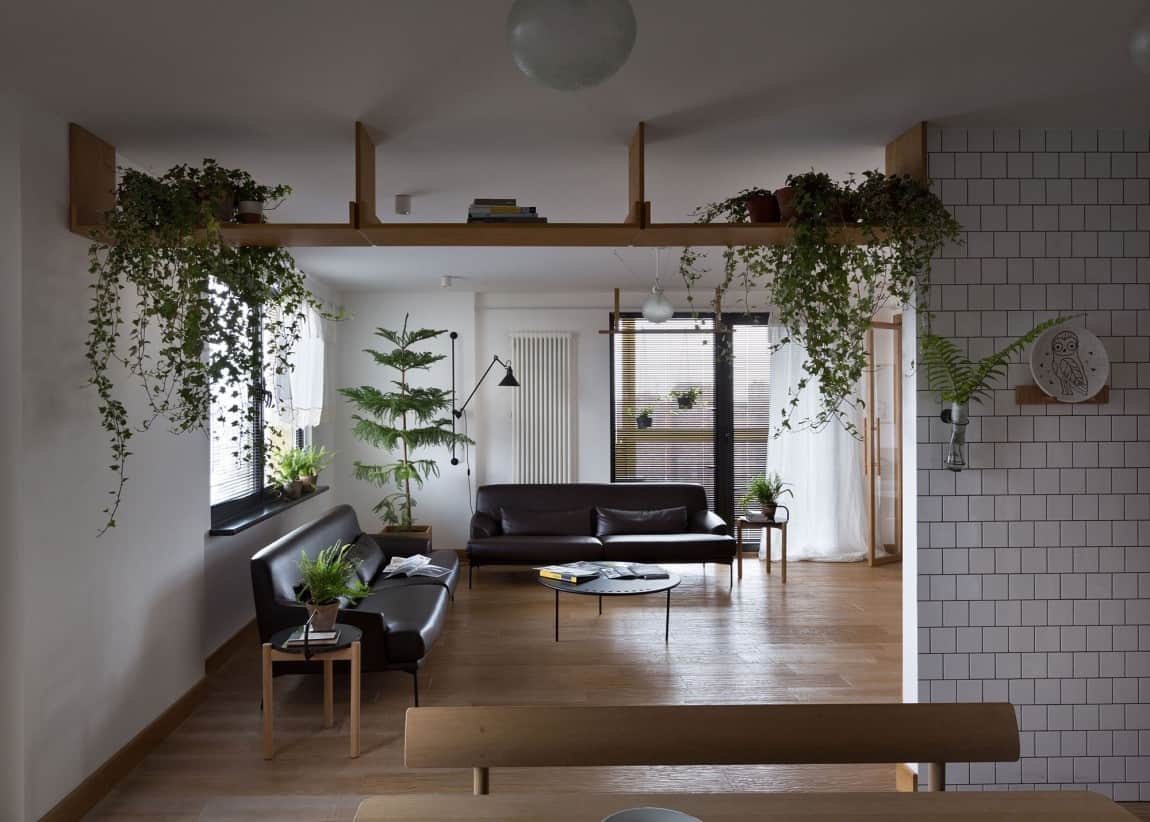Apartment Jazzed up with Plants for Air Purification