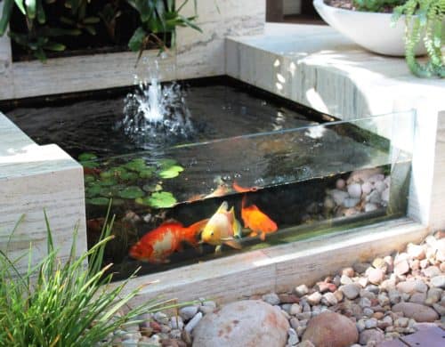 35 Sublime Koi Pond Designs and Water Garden Ideas for Modern Homes