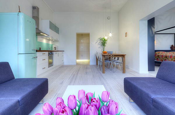 open-concept-apartment-design-stockholm-3.jpg