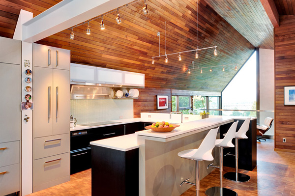 wooden walls ceiling sleek modern kitchen 1 Kitchen with Wooden Walls and Ceiling