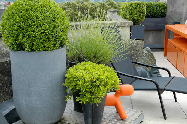 contemporary-urban-rooftop-garden-design-bluesky-landscapes-4.jpg