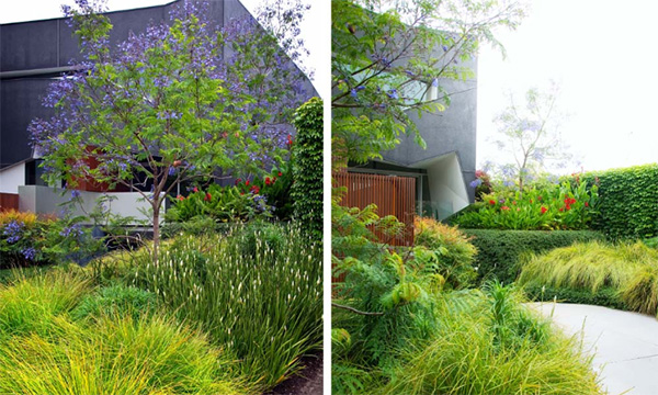 small-outdoor-space-design-ideas-eckersley-garden-architecture-3.jpg